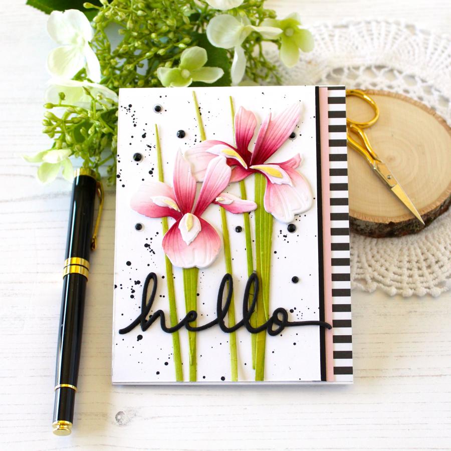 1pc Piggy Craft metal cutting  - Stencil Cutting Plotter recension och pris